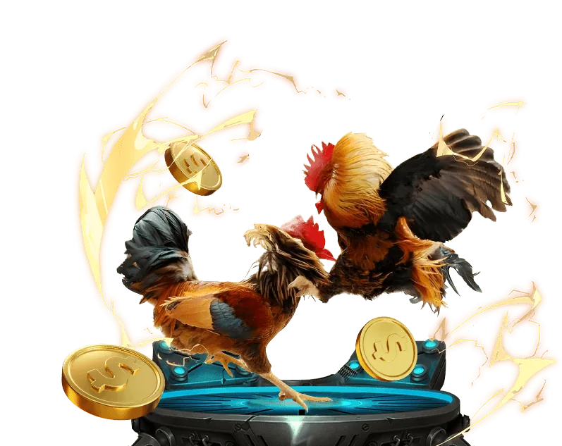 Các chương trình khuyến mãi và ưu đãi độc quyền dành cho đá gà tại U888